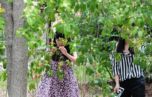 浙江廣廈建設(shè)職業(yè)技術(shù)學(xué)院