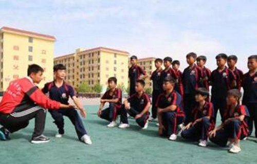 大荔縣少林武術(shù)學(xué)校