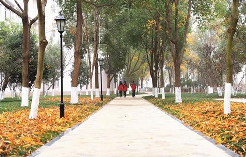 桐鄉(xiāng)技師學(xué)院