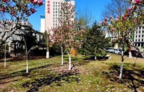 商洛友聚職業(yè)技術(shù)學(xué)校