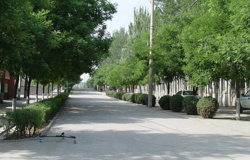 酒泉市金塔縣職業(yè)中學(xué)