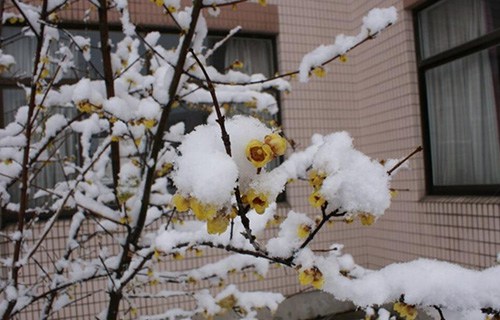 海鹽縣商貿(mào)學(xué)校