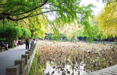 子洲縣職業(yè)技術(shù)教育中心