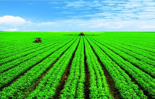 漳縣職業(yè)中學(xué)