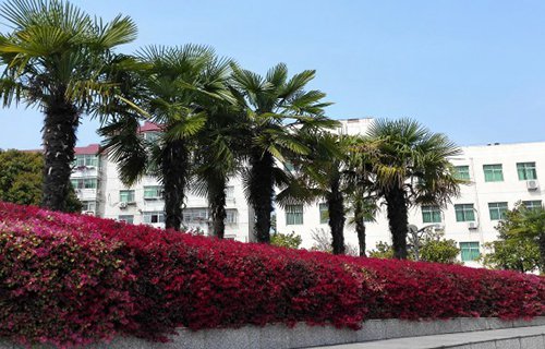 西和西峪電腦學校