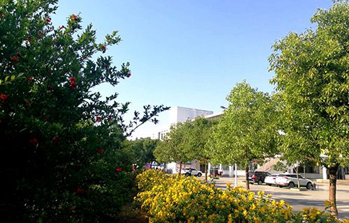 甘南藏族綜合專業(yè)學(xué)校