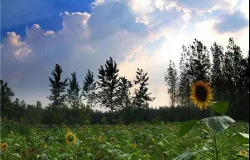 和政縣職業(yè)技術(shù)學(xué)校