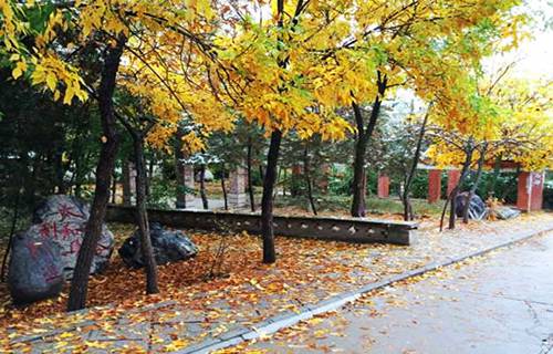 定西師范高等?？茖W(xué)校