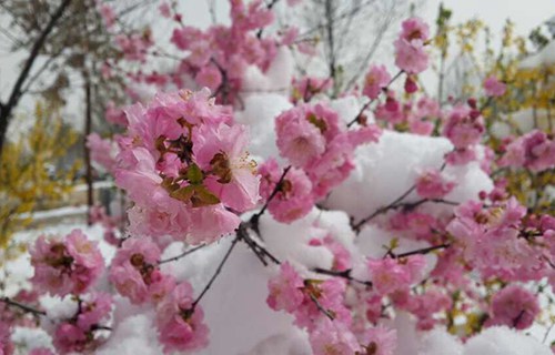 原平市星海藝術(shù)學(xué)校