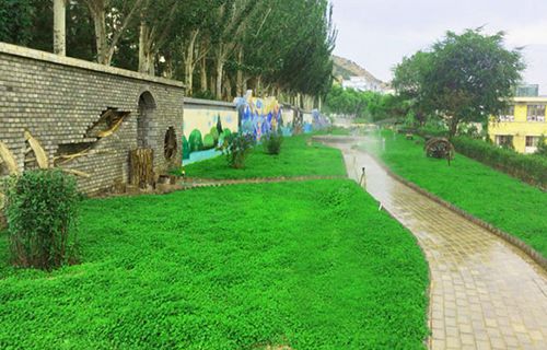 原平市星海藝術(shù)學(xué)校