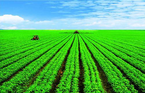 兵團(tuán)工貿(mào)學(xué)校