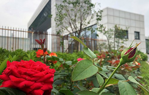 原平市英才中學(xué)(職教班)