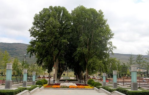 新疆農(nóng)墾中專學(xué)校