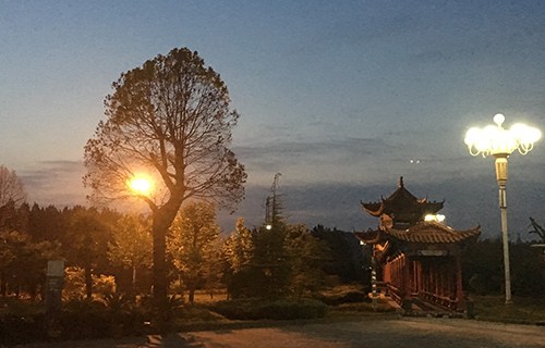 新疆農(nóng)墾中專學(xué)校