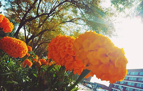 定西洮河高級職業(yè)中學(xué)