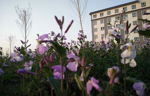 烏魯木齊市體育運動學(xué)校