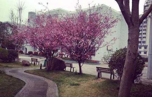 余姚職業(yè)技術(shù)學(xué)校