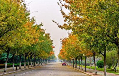 甘肅商業(yè)學(xué)校