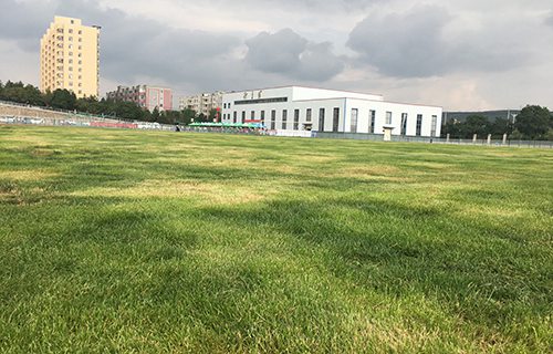 甘肅省臨夏州職業(yè)技術(shù)學(xué)校