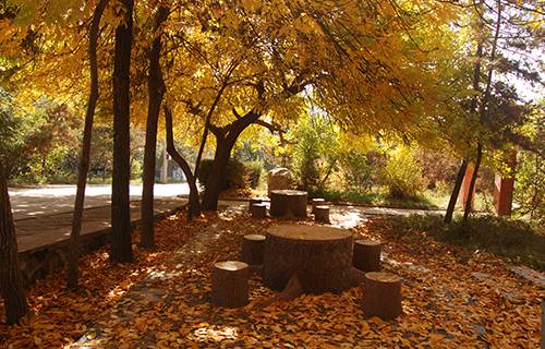 甘肅省臨夏州職業(yè)技術(shù)學(xué)校