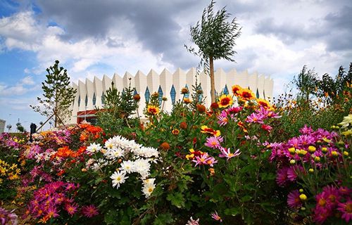 蘭州中泰聯(lián)合職業(yè)學校