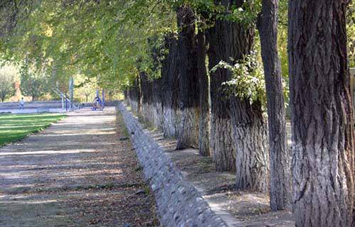 石河子大學(xué)護(hù)士學(xué)校