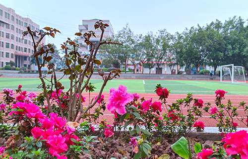 襄汾縣鄧莊職業(yè)中學校