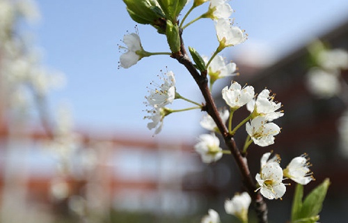 高臺(tái)職業(yè)中等專業(yè)學(xué)校