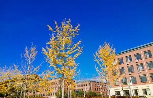 西和西峪電腦學校