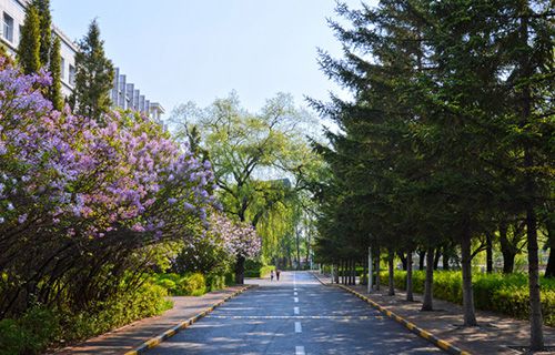 西和西峪電腦學校