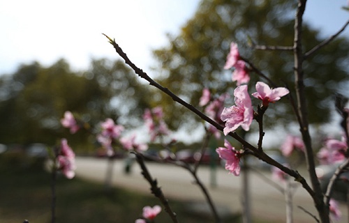 會(huì)寧職業(yè)中等專業(yè)學(xué)校