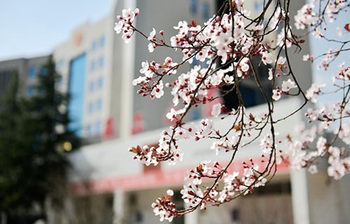 靖遠(yuǎn)職業(yè)中等專業(yè)學(xué)校