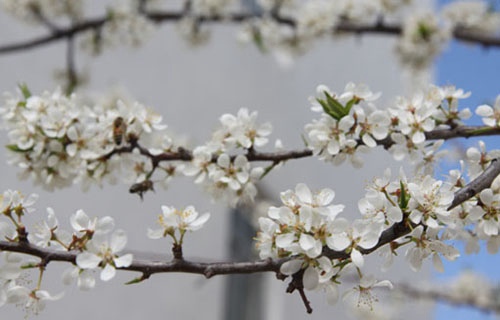 武威遠(yuǎn)博技工學(xué)校