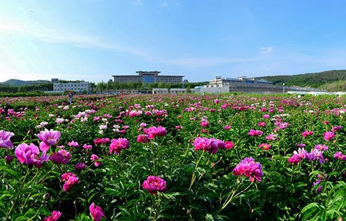 武威勞動(dòng)服務(wù)技工學(xué)校