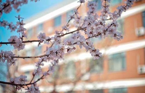 甘肅北方技工學(xué)校