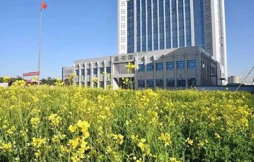 甘肅冶金技師學(xué)院