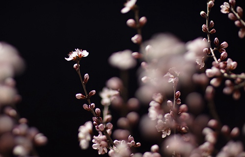 甘肅有色金屬技師學(xué)院