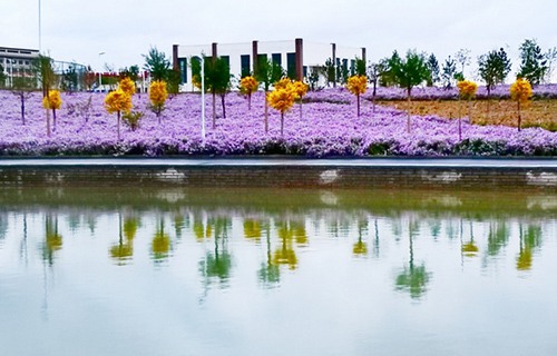 甘肅有色金屬技師學(xué)院