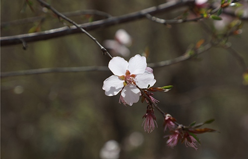 天水技工學(xué)校