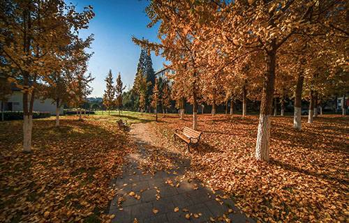 合水職業(yè)中學(xué)