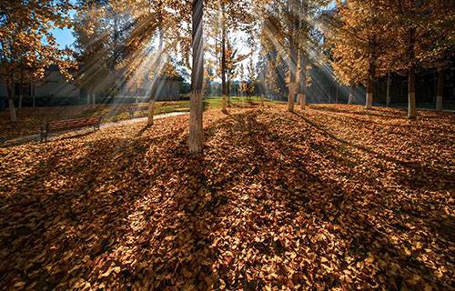 合水職業(yè)中學(xué)