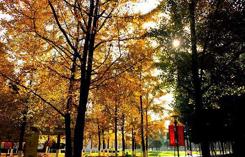 合水職業(yè)中學(xué)