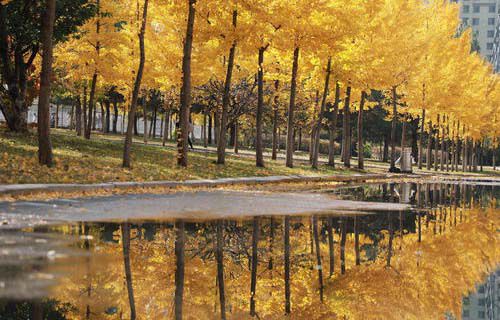 正寧職業(yè)技術(shù)中學(xué)