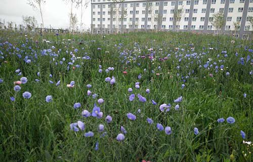 武都職業(yè)中學(xué)