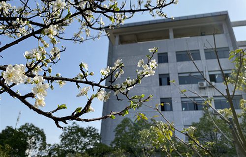 永登中等職業(yè)技術(shù)學(xué)校