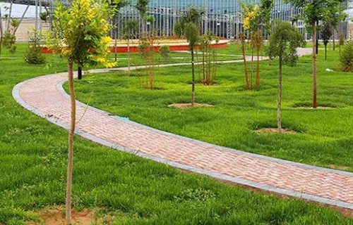 扶風(fēng)縣衛(wèi)生職業(yè)學(xué)校