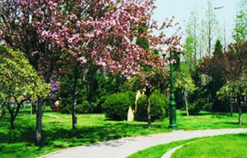 岐山縣高級職業(yè)中學(xué)