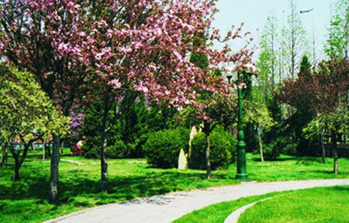 寶雞市高級技工學校