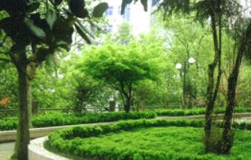 麗水市衛(wèi)生學(xué)校