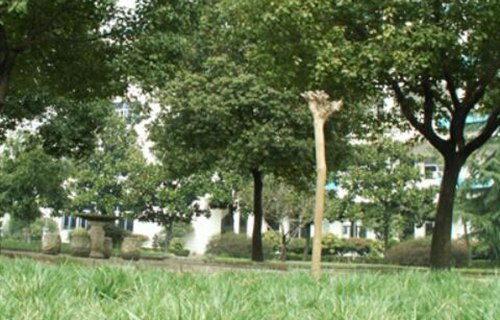 浙江電子工程學(xué)校